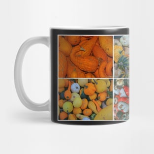 Squashes and Gourds Mug